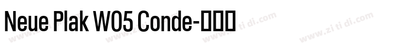 Neue Plak W05 Conde字体转换